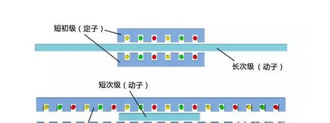 [直線電機(jī)的分類]有哪些類型的直線電機(jī)？其結(jié)構(gòu)如何？